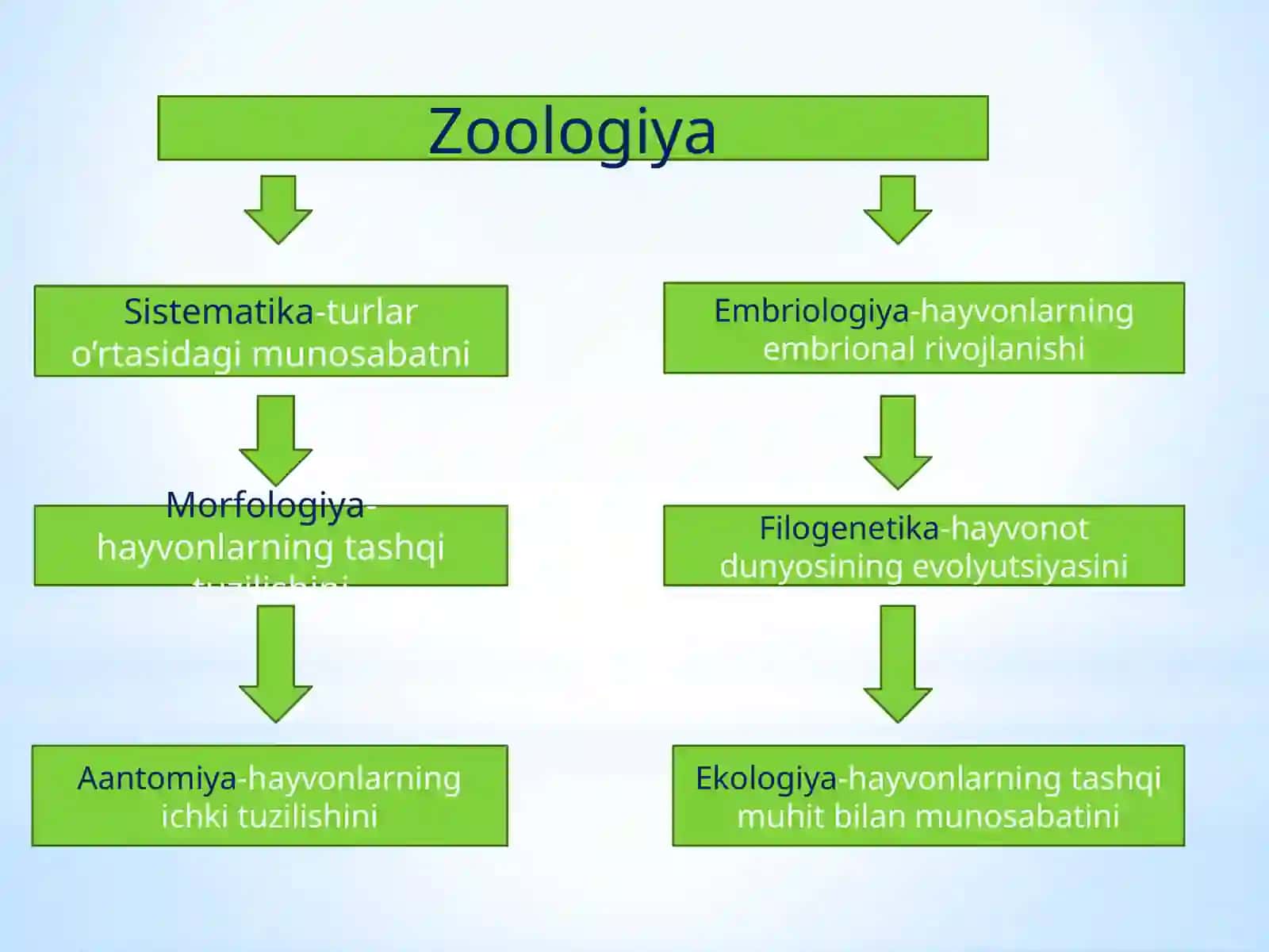 Zoologiya Fanlari Sistemasi 3