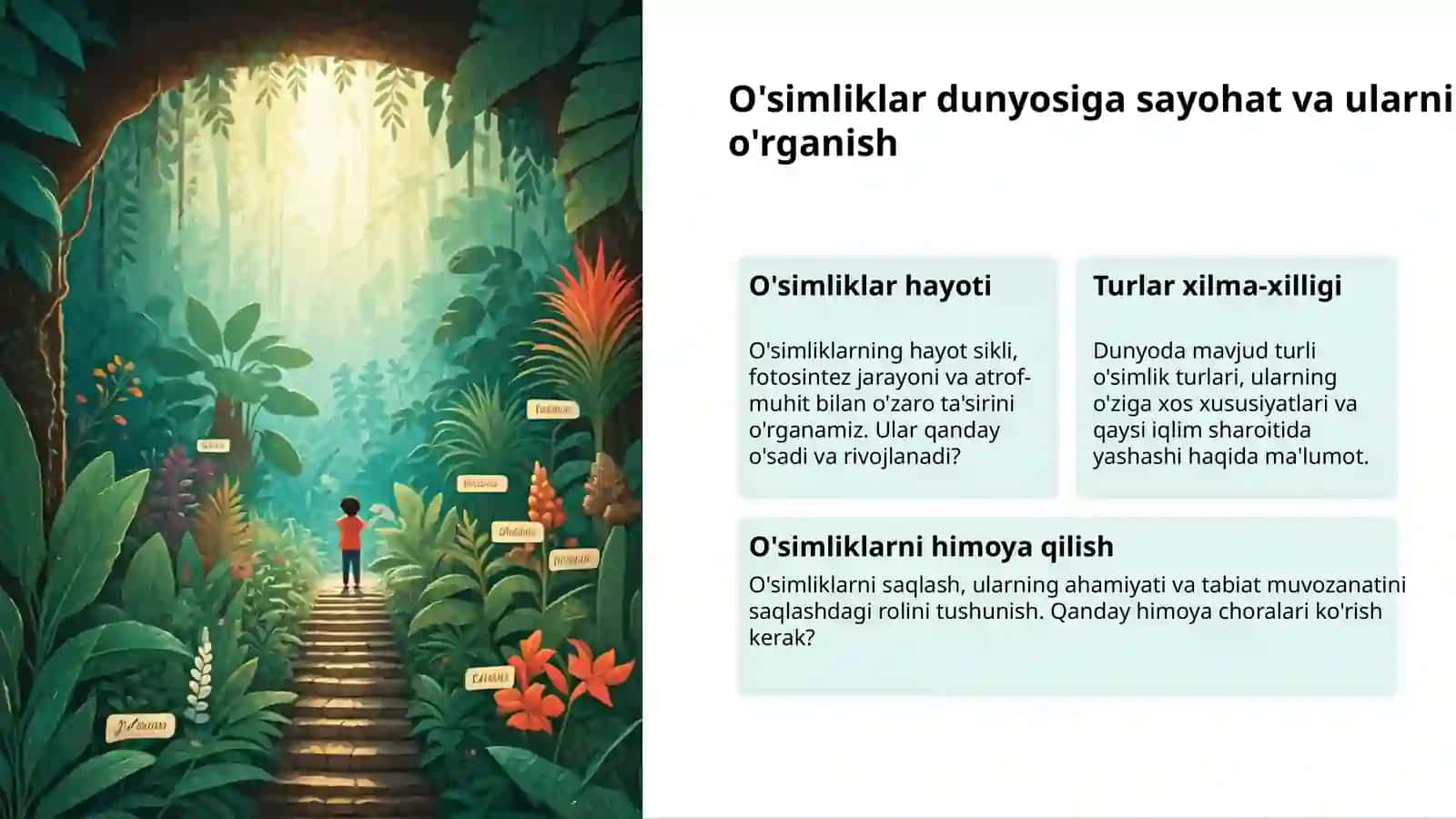 Tabiat ekskursiyasi: bolalar uchun tabiiy dunyo 3