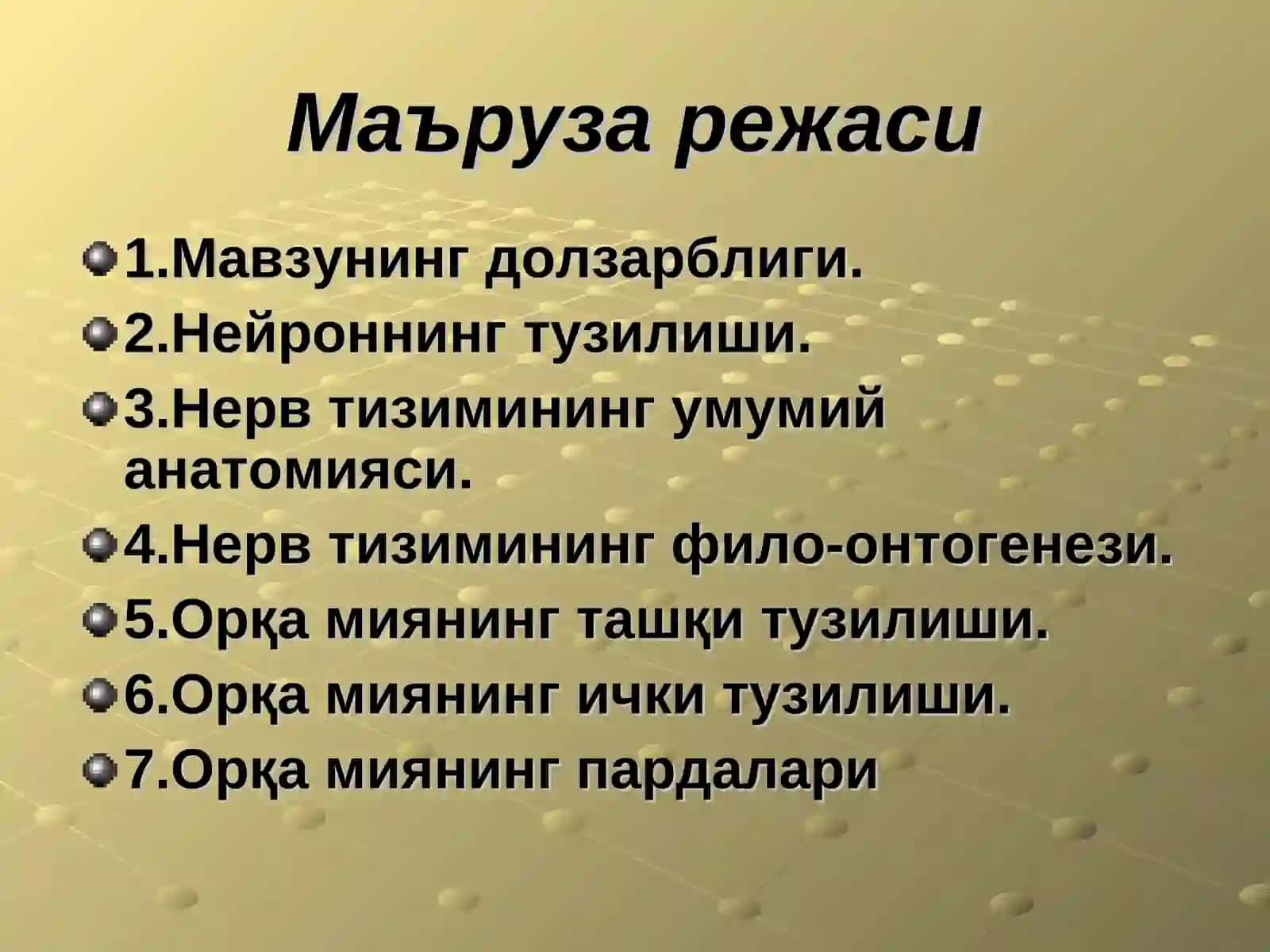 Нерв тизимининг умумий анатомияси. Орқа миянинг вазифавий ва ёшли анатомияси 3