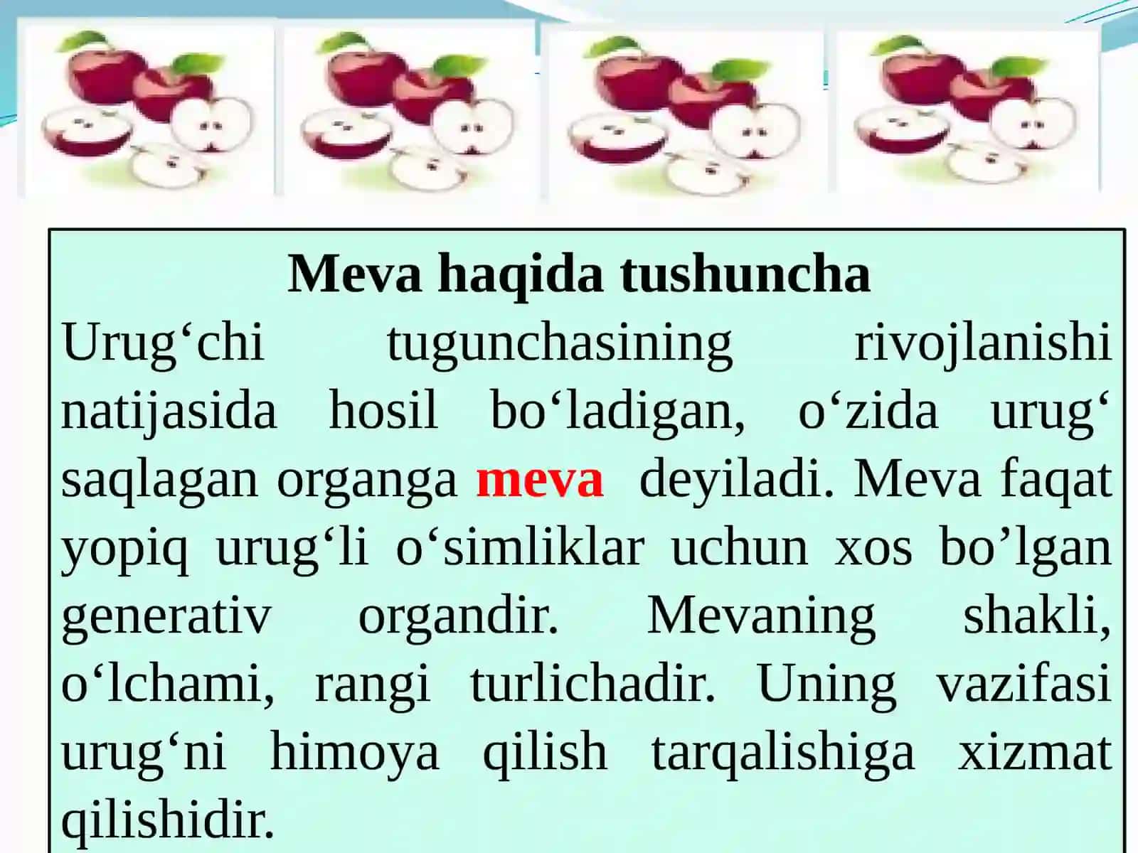 MEVA. MEVANING TUZILISHI 3