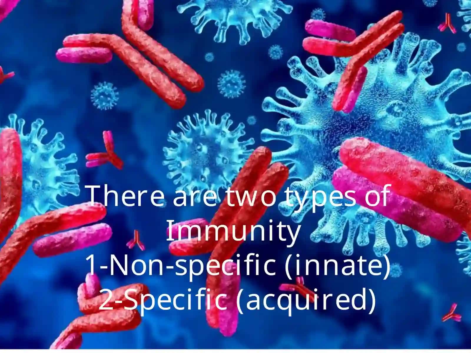 Tibbiy Biologiya 3