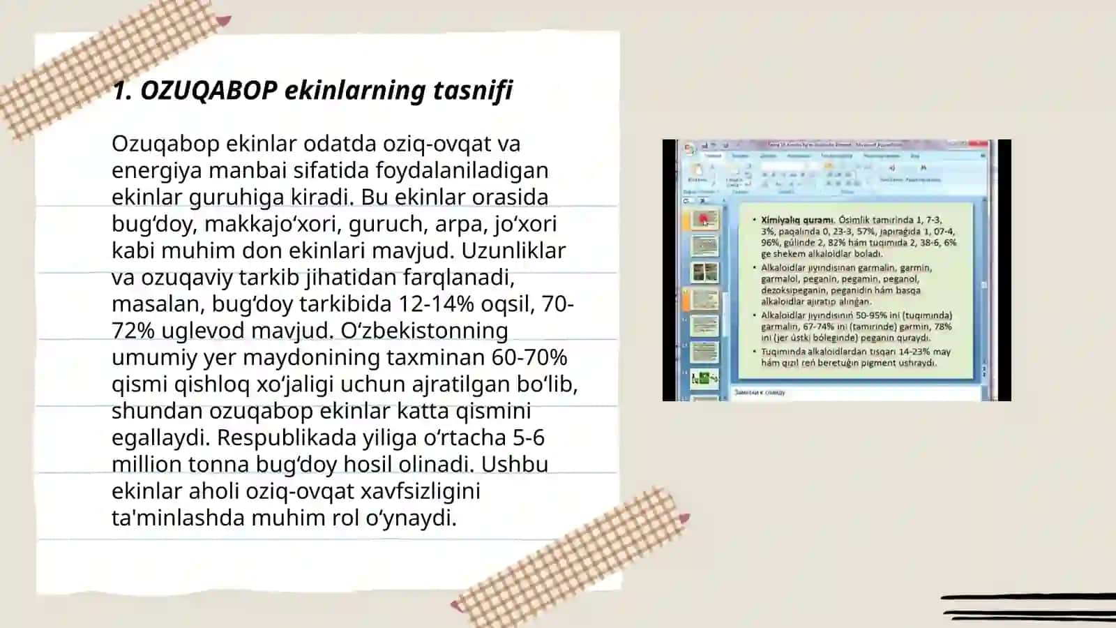 OZUQABOP EKINLAR ALKALOIDLAR VA GLIKOZIDLAR 3