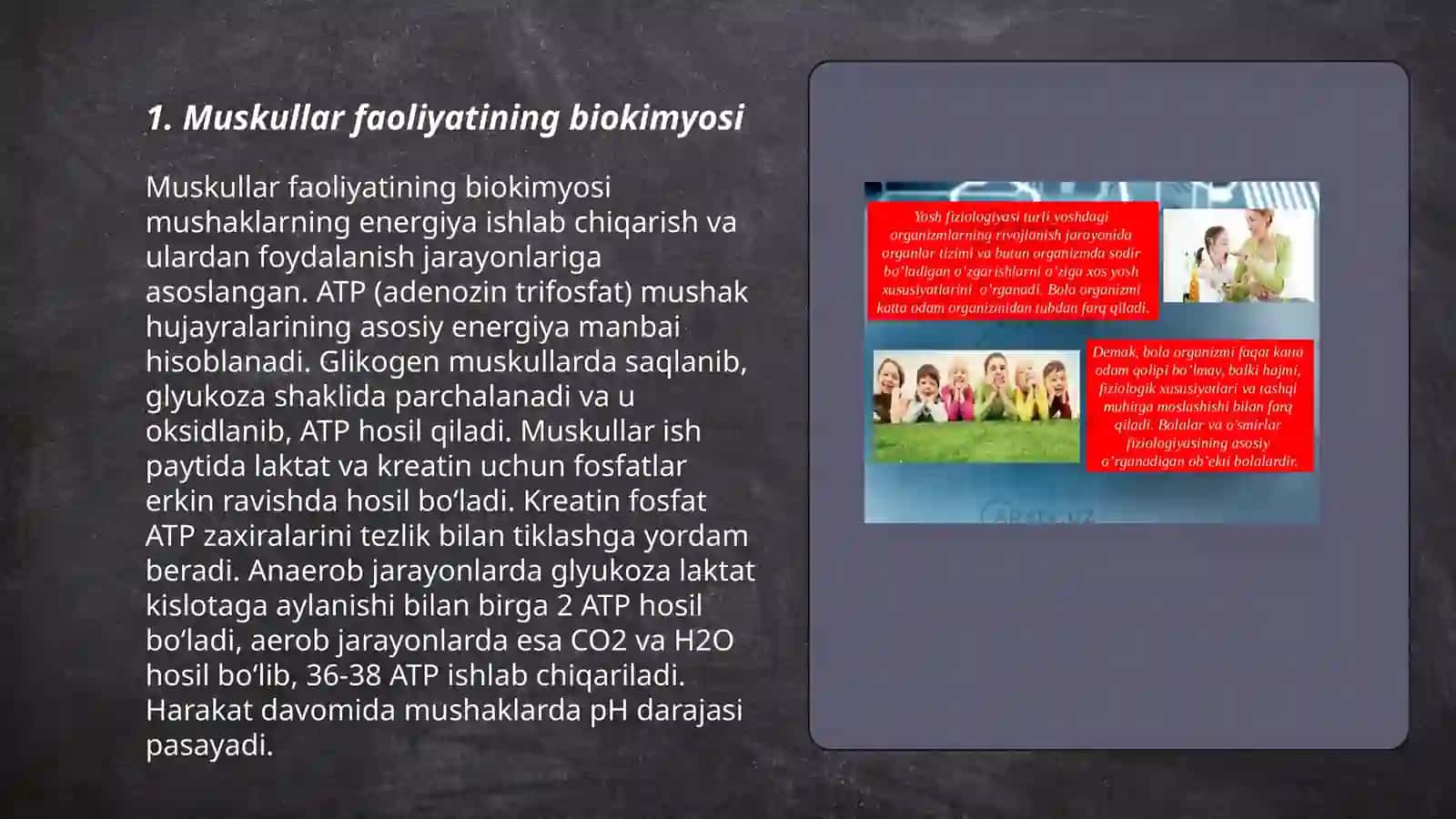 Muskullar faoliyati va bolalarning jismoniy imkoniyatlari 3