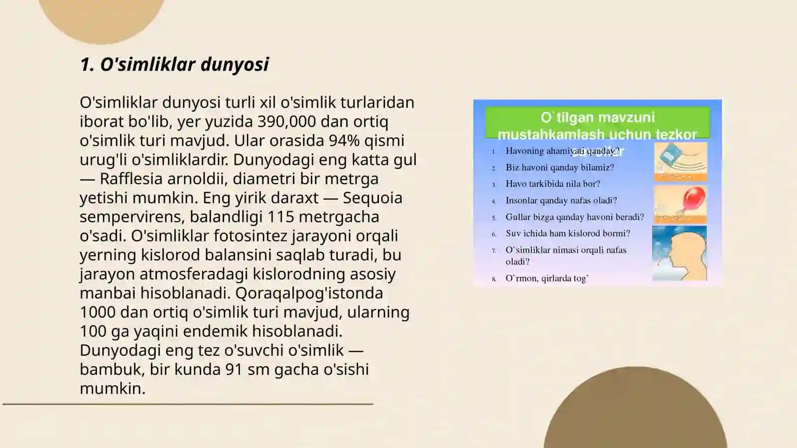 O'simliklar dunyosi 3