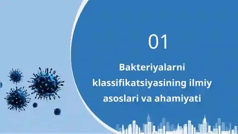Bakteriyalarni klassifikatsiyasi, toksonomiyasi va nomenklaturasi 3