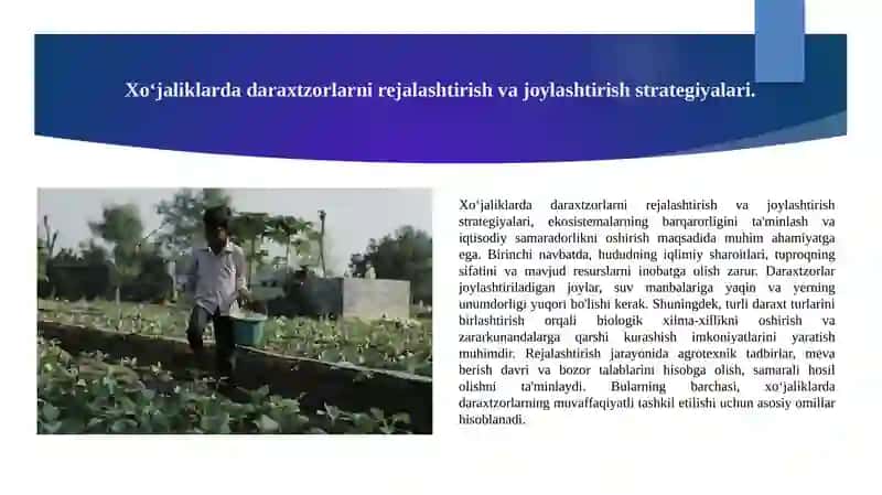 Xoʻjaliklarda IHOTA  daraxtzorlari tashkil etish tizim 3