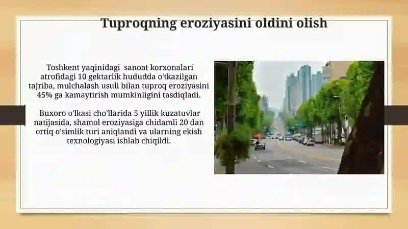 Shahar va sanoat korxonalar atrofini ko‘kalamzorlashtirish 3
