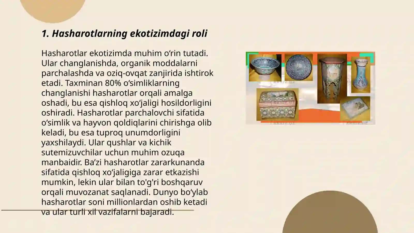 Hasharotlarning inson hayotidagi ahamiyati Tezis tayyorlash 3