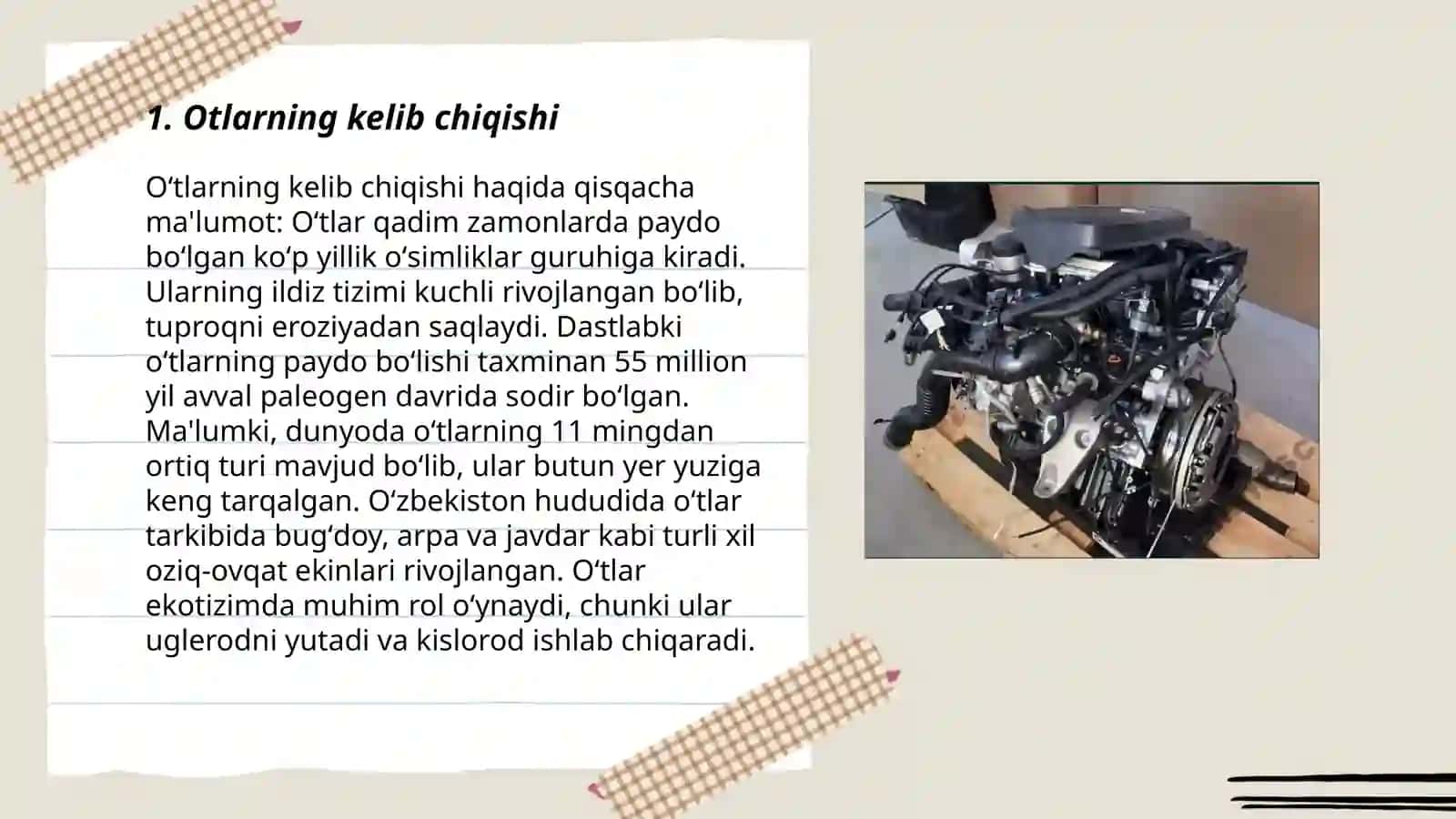 Ingliz tilidagi ot so'z turkumiga mansub leksik birliklar tarjimasi 3