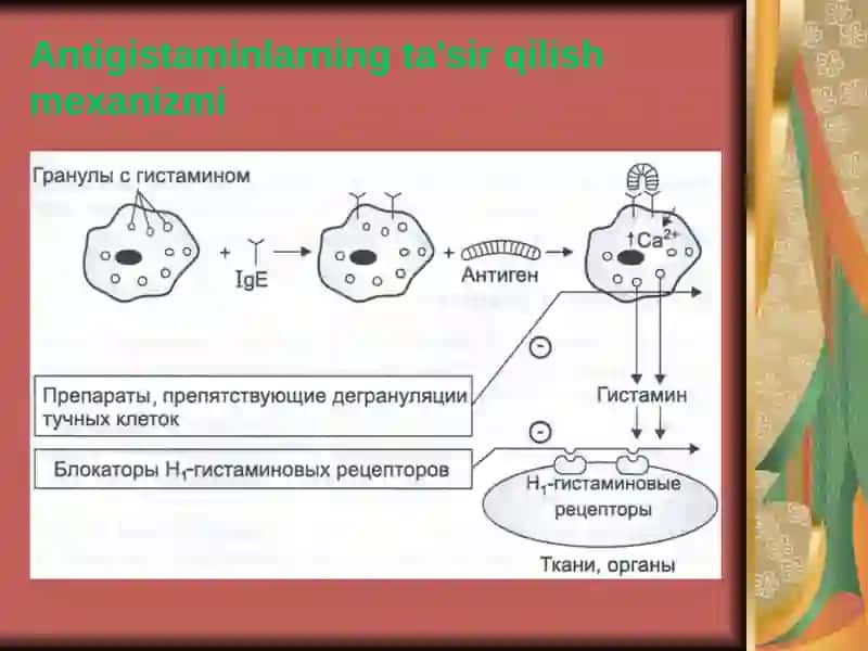 Antigistamindorivositalarining klinik farmakologiyasi 3