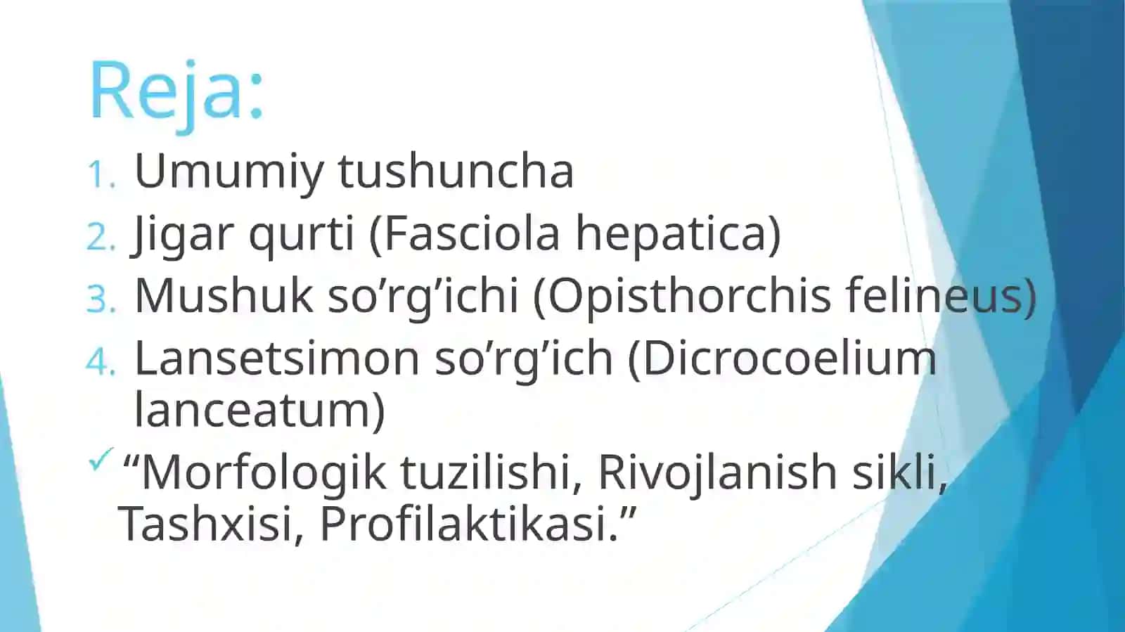 So’rg’ichlilar sinfi 3