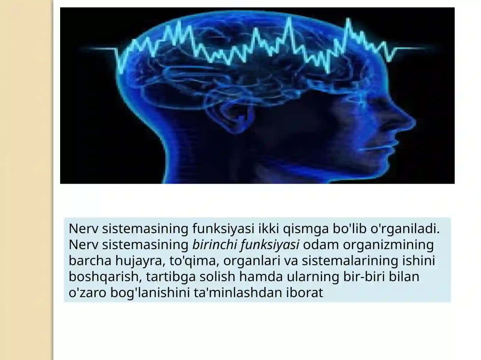 Nervtizimining ahamiyati va gigiyenasi 3