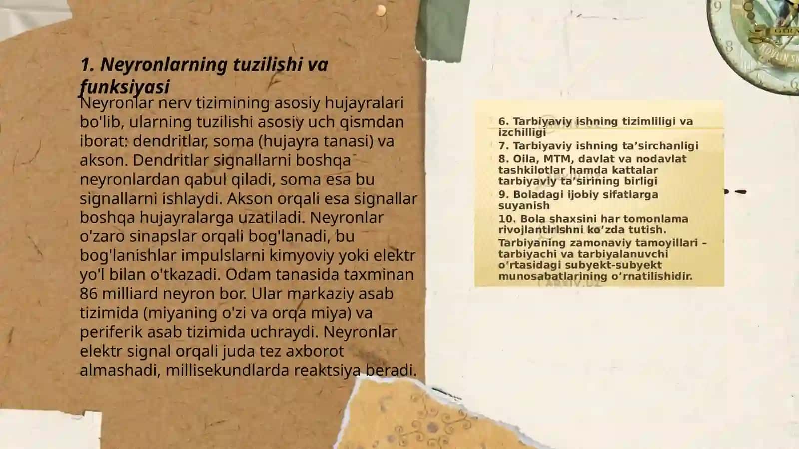 Xulq-atvorning nerv-fizologik asoslari 3
