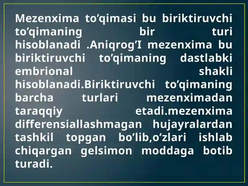 Mezenximaning Tuzilishi va Ahmiyat 3