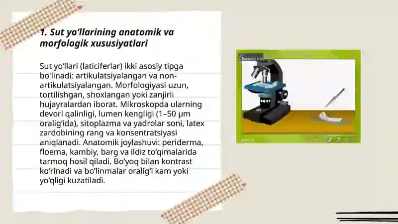 Oʻsimliklarda sut yoʻllarini mikroskopda kuzatish 3