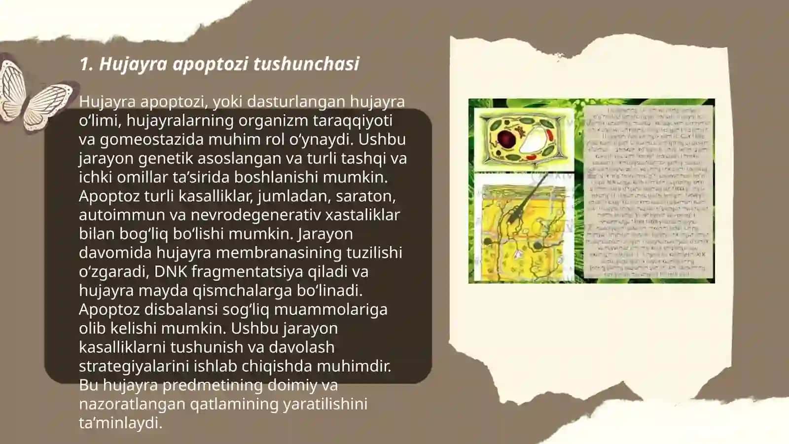 Hujayra appoptozi va uning giologik ahamiyati 3