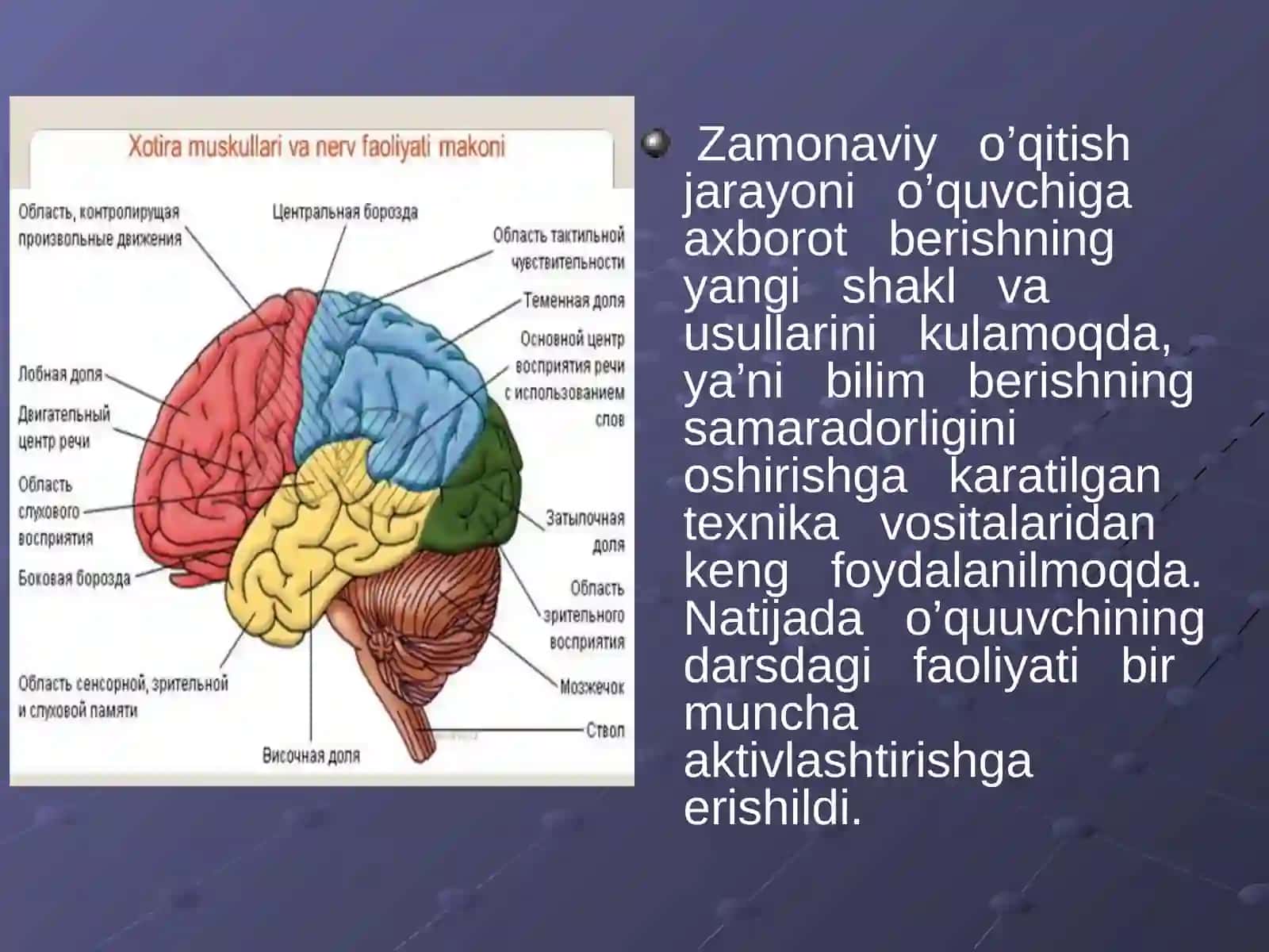 Nerv sistemasining gigienasi 3