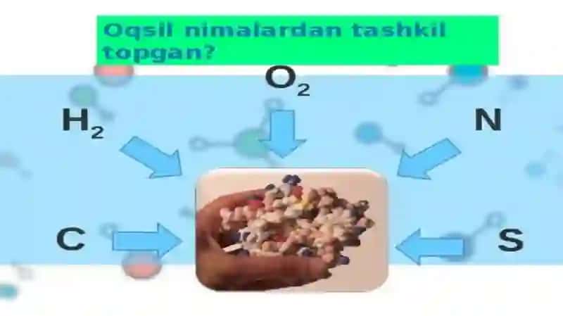 SUNIY OQSIL OZIQA MODDALARINING ISHLAB CHIQARILISHI VA KELGUSIDAGI IMKONIYATLAR 3