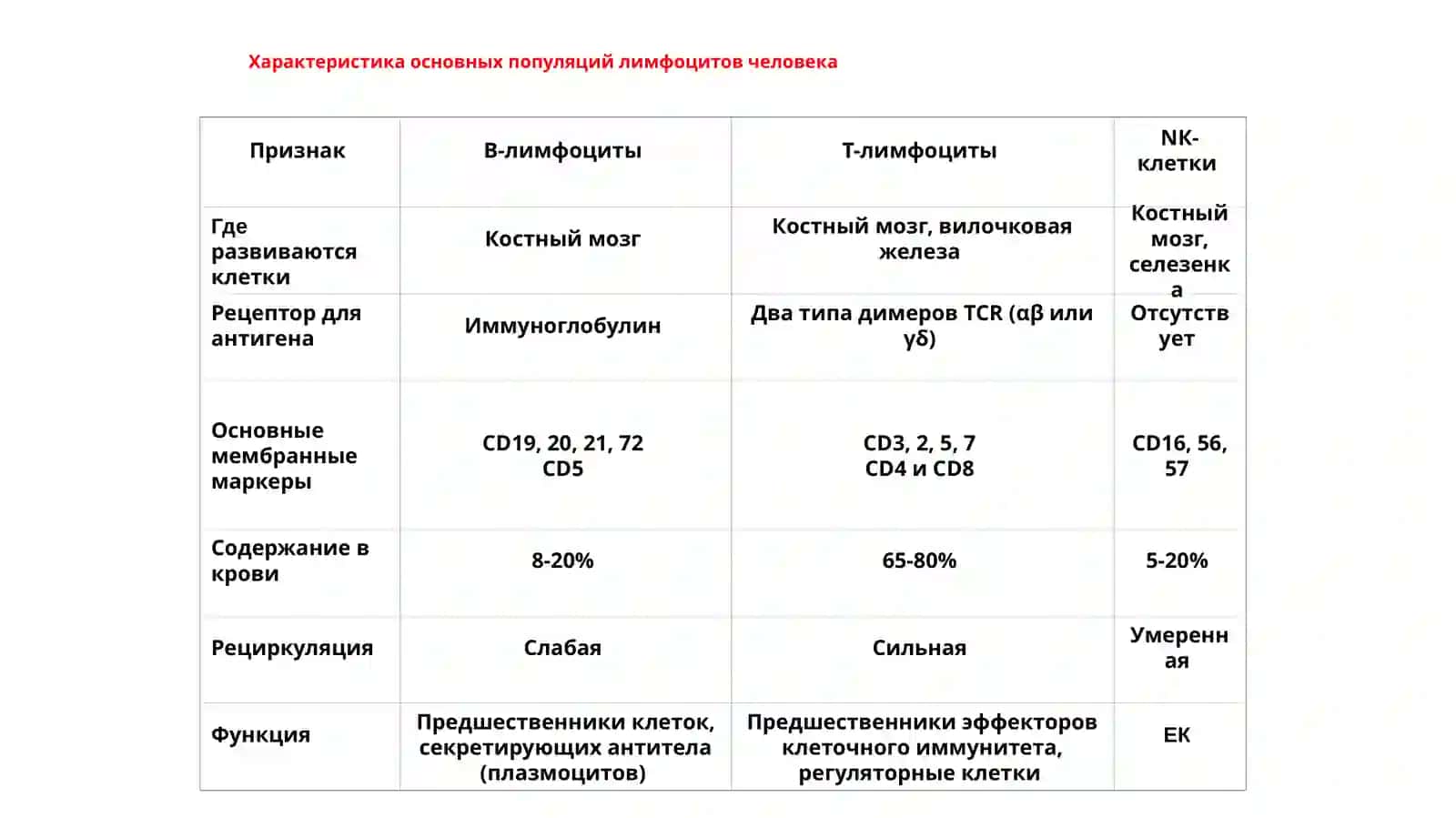 Лимфоцитларнинг 3 тури 3