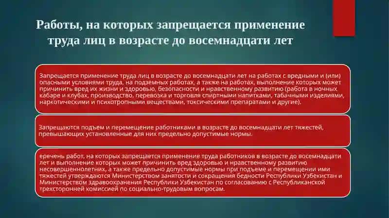 Особенности правового регулирования труда работников в возрасте до восемнадцати лет 3