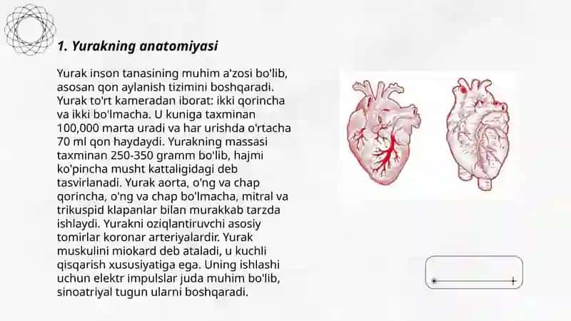 Sino tibbiyot texnikumi 3