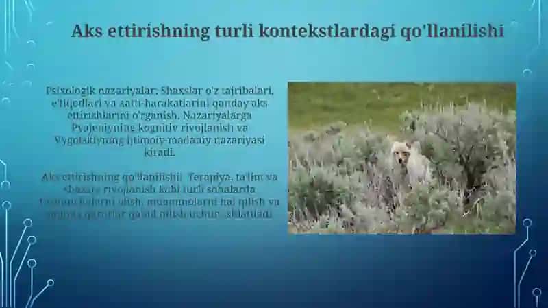Tafakkur borasidagi pisixologik nazariyalar 3