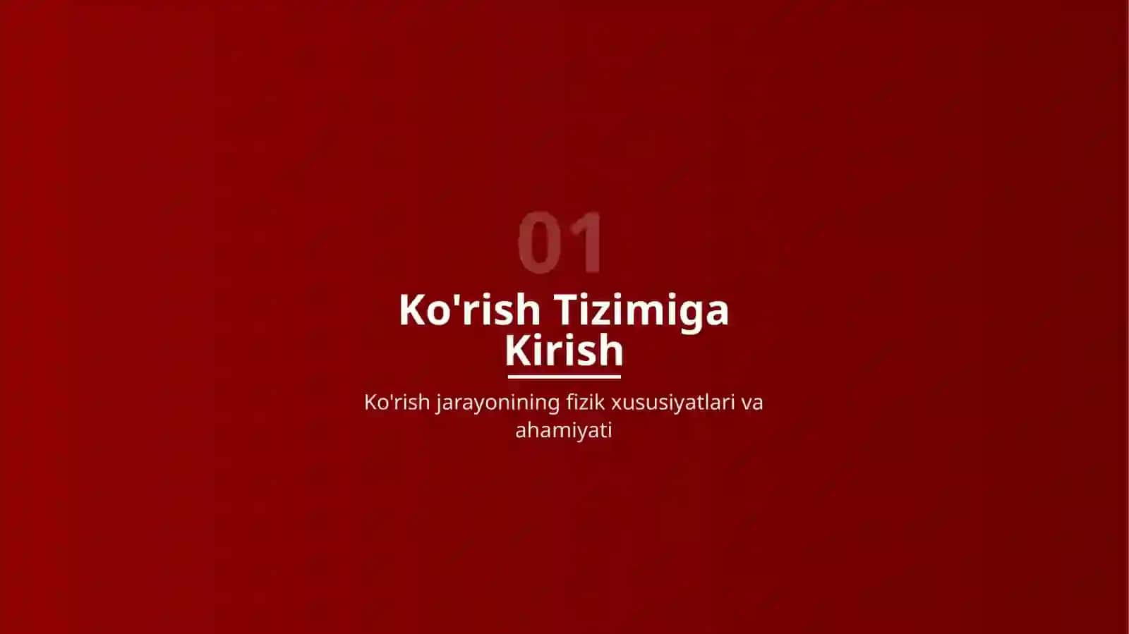Ko'rish Analizatorlari 3