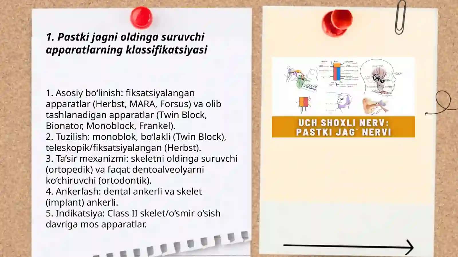 Pastki jagni oldinga suruvchi apparatlarning klassifikatsiyasi 3