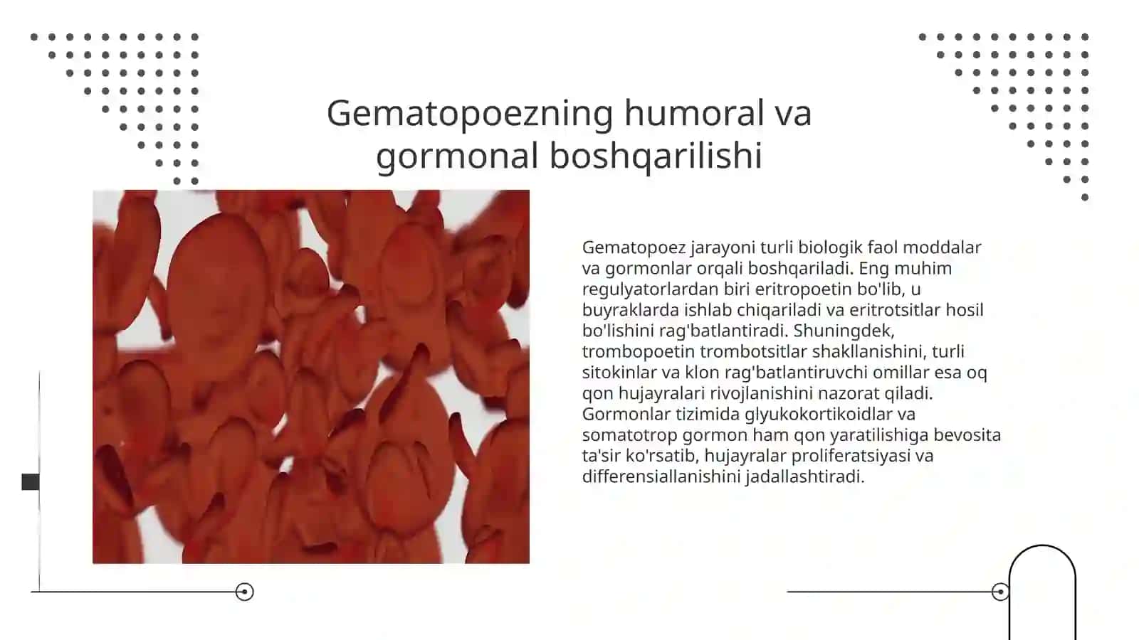 Gistologiya.Gemositopoez jarayonining boshqariluvi. Imun-himoya reaksiyalarining morfologik asoslari. 3