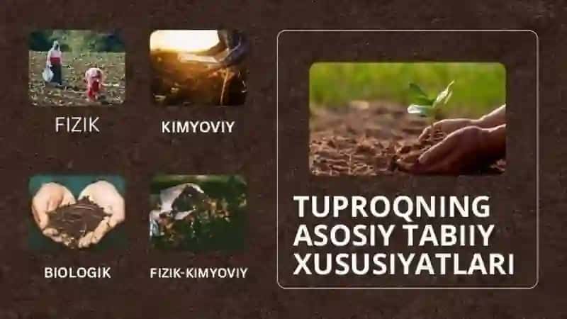 Tuproq va uning tabiiy xususiyatlari 3