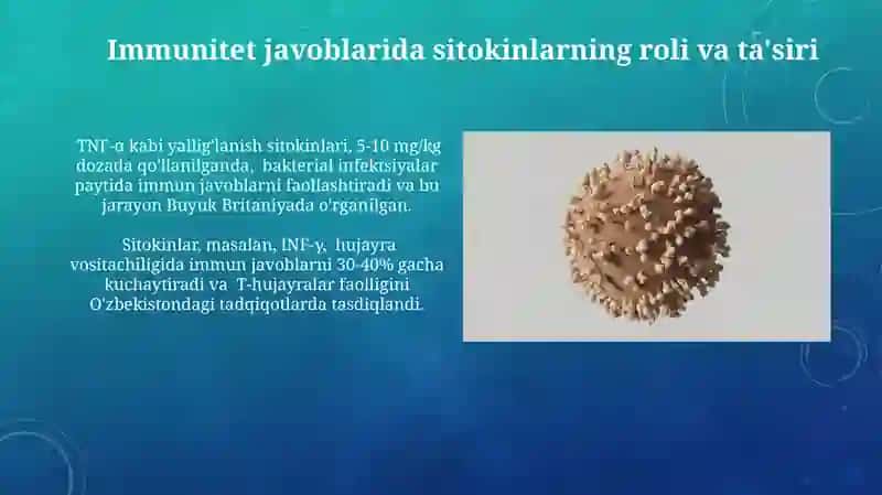 Immun-himoya reaksiyalarining morfologik asoslari 3