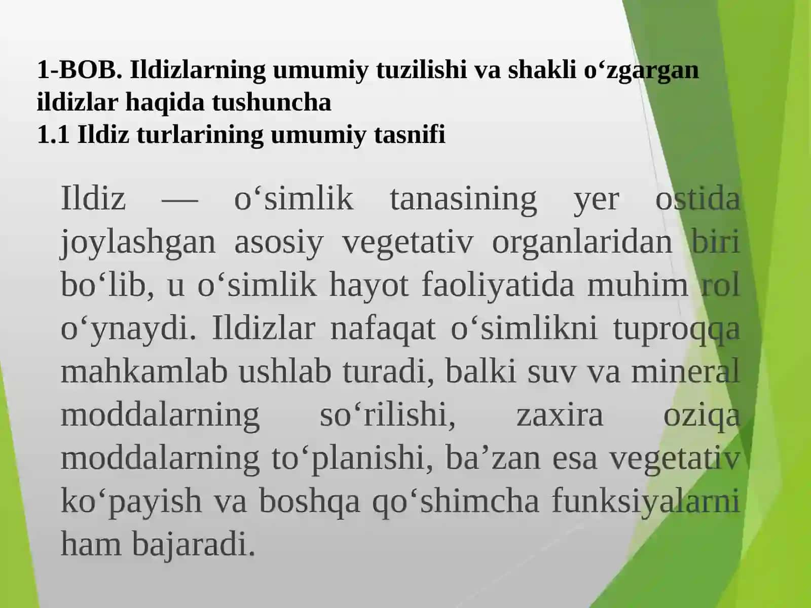 Ildizlarning tuzilishi 3