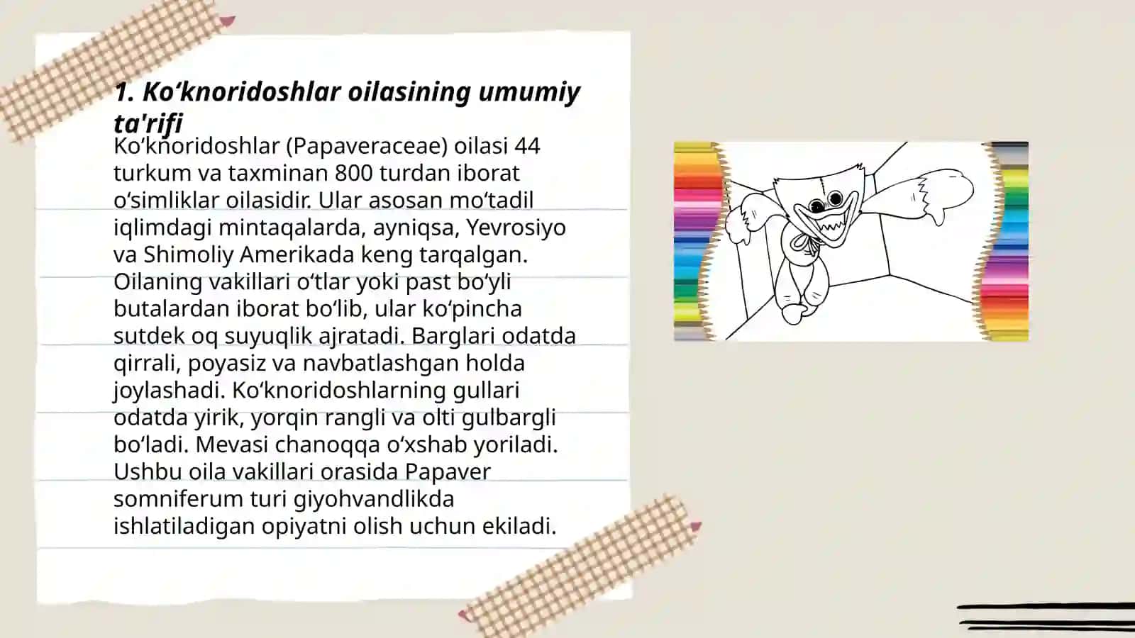 Ko‘knoridoshlar va Ra’nodoshlar oilasining asosiy turkum va turlari 3