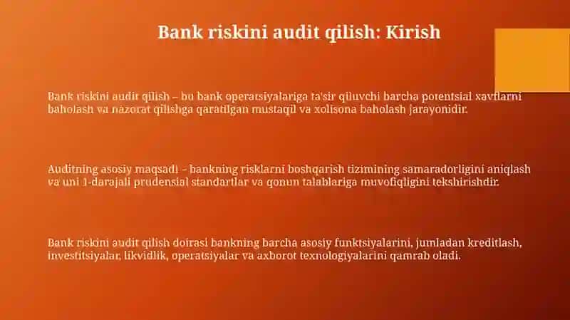 Bank risklari auditi 3