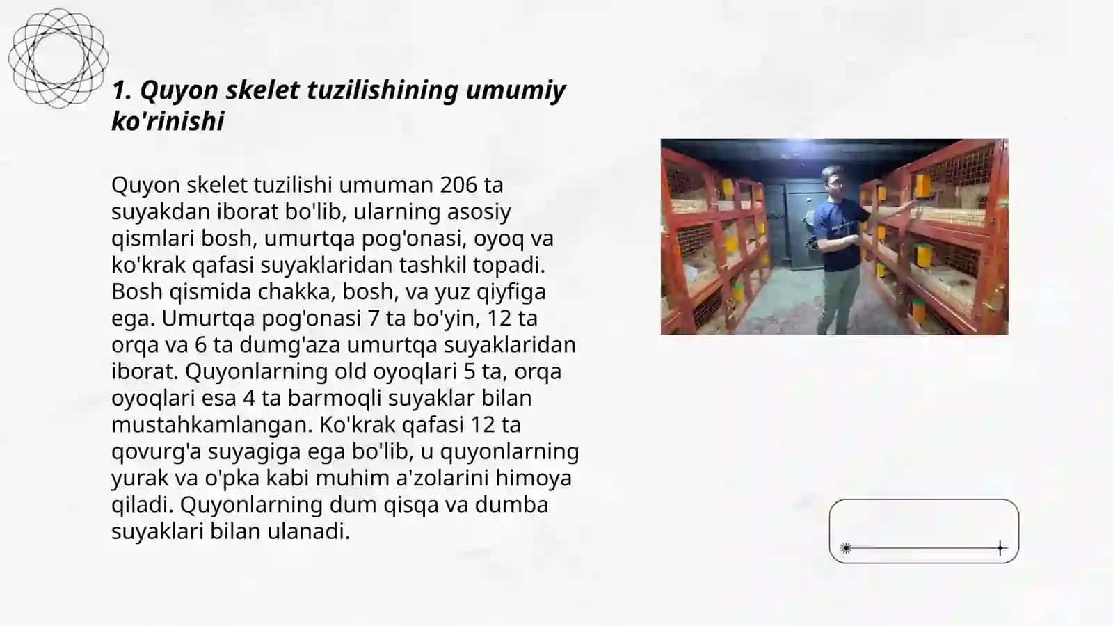 Quyon siklet tuzilishini 3