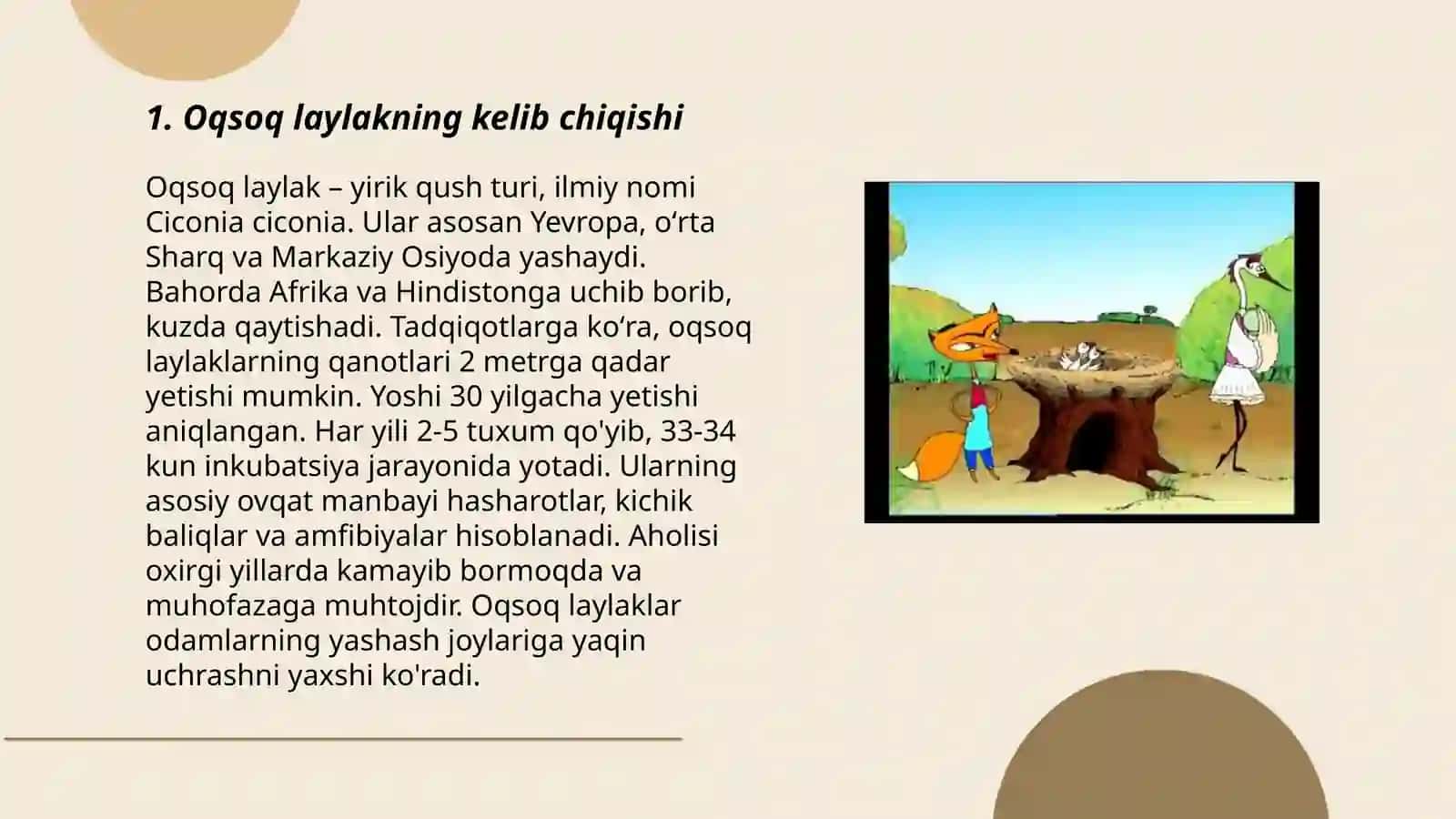 Oqsoq laylak ertagi 3