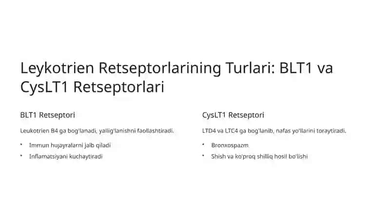Leykotrien Retseptorlariga Ta'sir Etuvchi Dori Vositalari 3