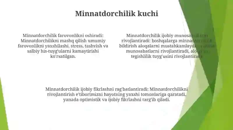 Bahtli Hayot Poydevori 3