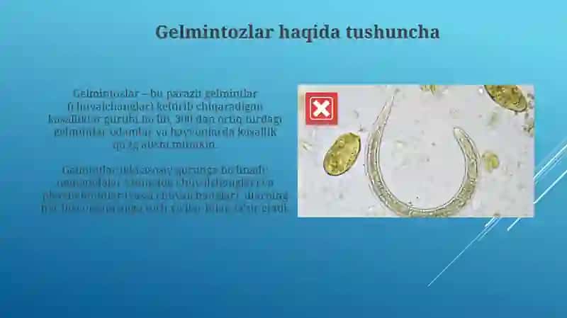 Gelmintozlar: Tushuncha, Turlari va Tarqalishi 3