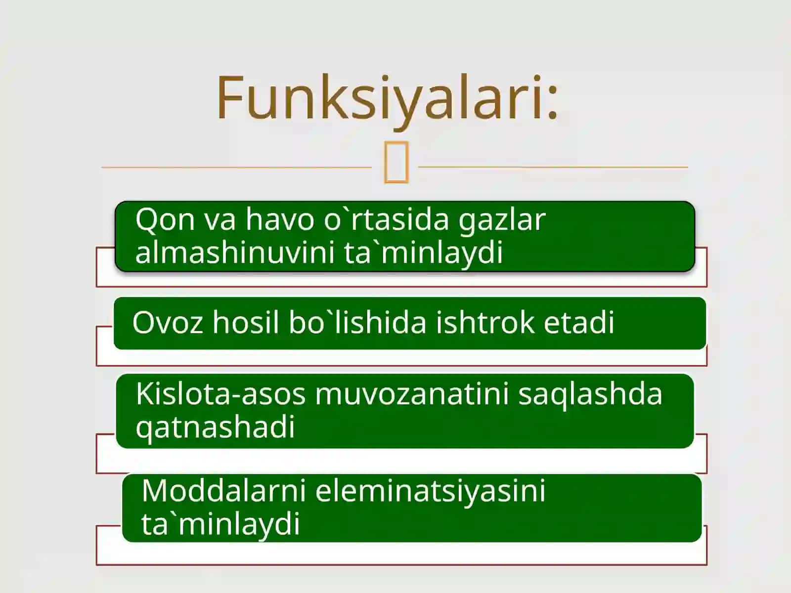 Nafassistemasi 3