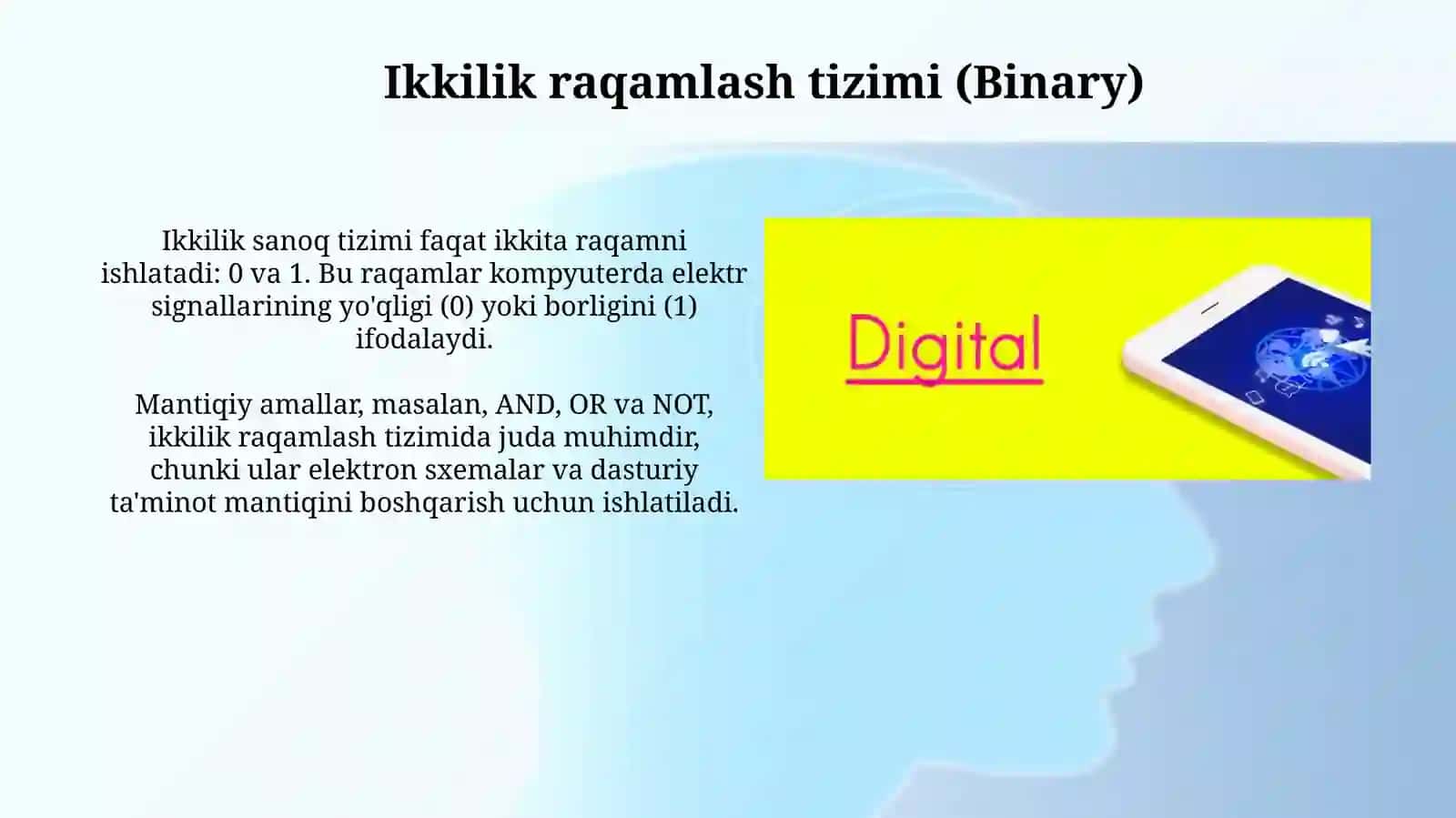 Ikkilik raqamlash tizimi (Binary) 3