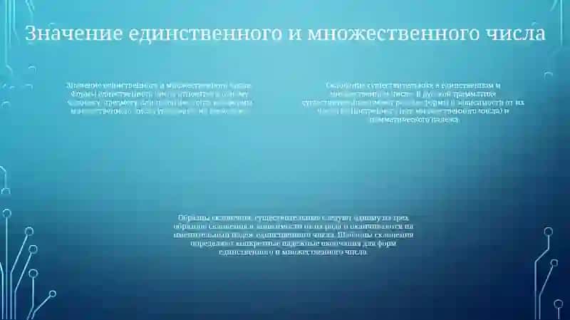 Склонение Имен Существительных В Единственном И Множественном Числе 3