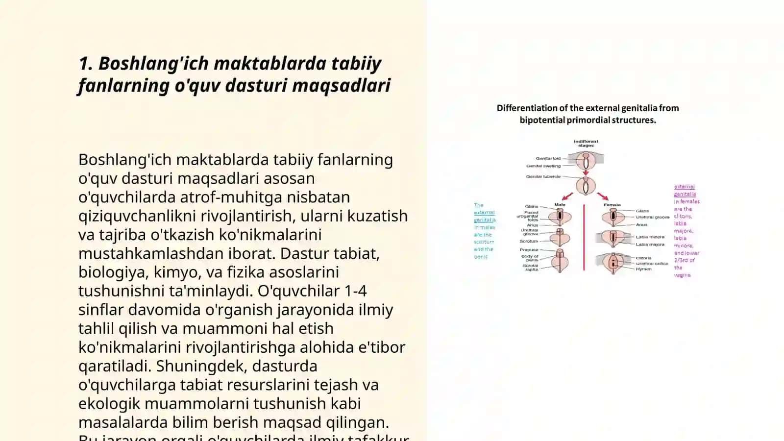 Boshlang'ich maktablarda tabiiy fanlarning mazmuni va o'quv dasturining tahlili 3