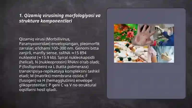 Qizamiq va qizilcha kasalliklari qoʻzgʻatuvchilar 3
