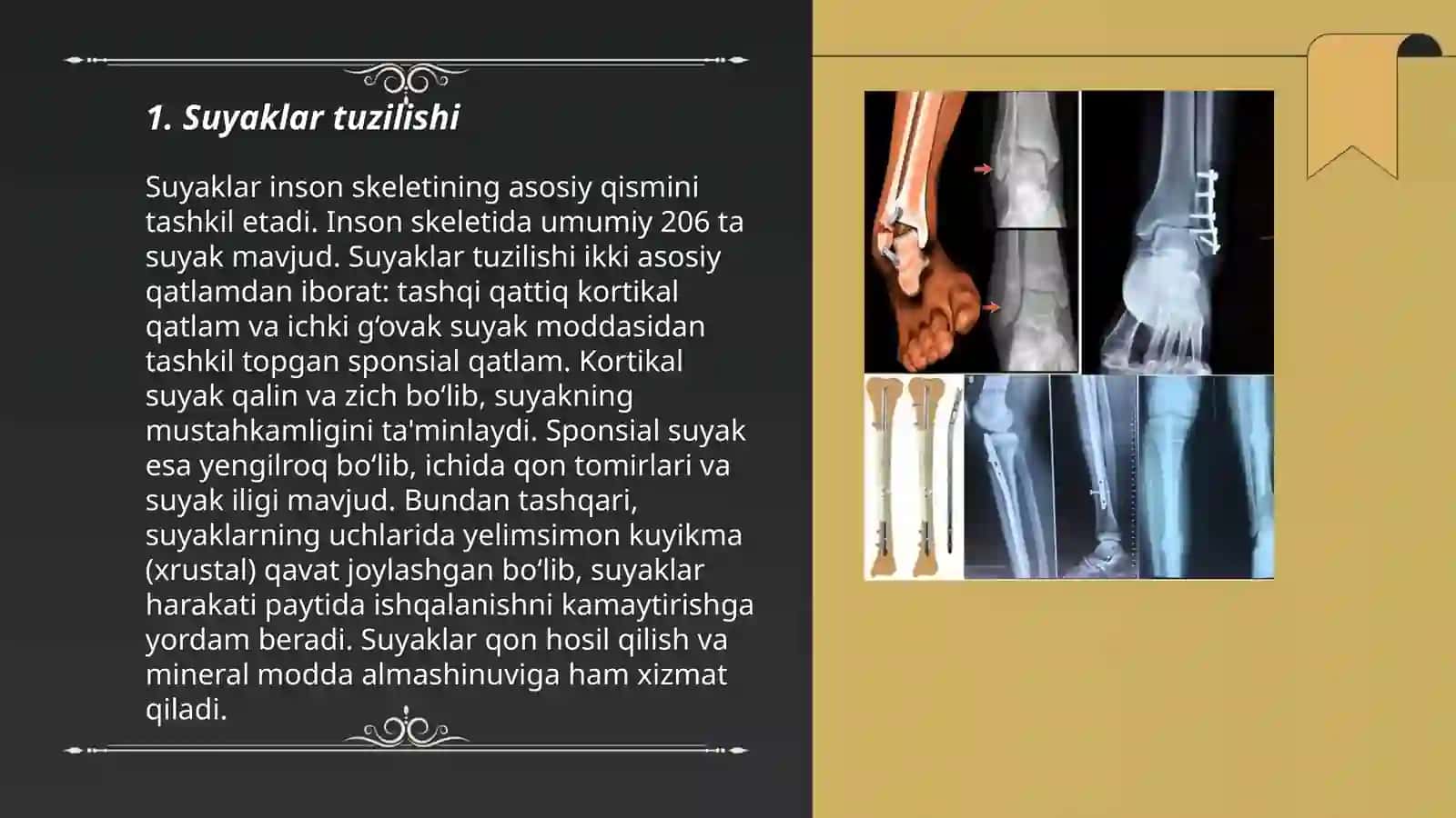 Suyak va ularning birikishi 3