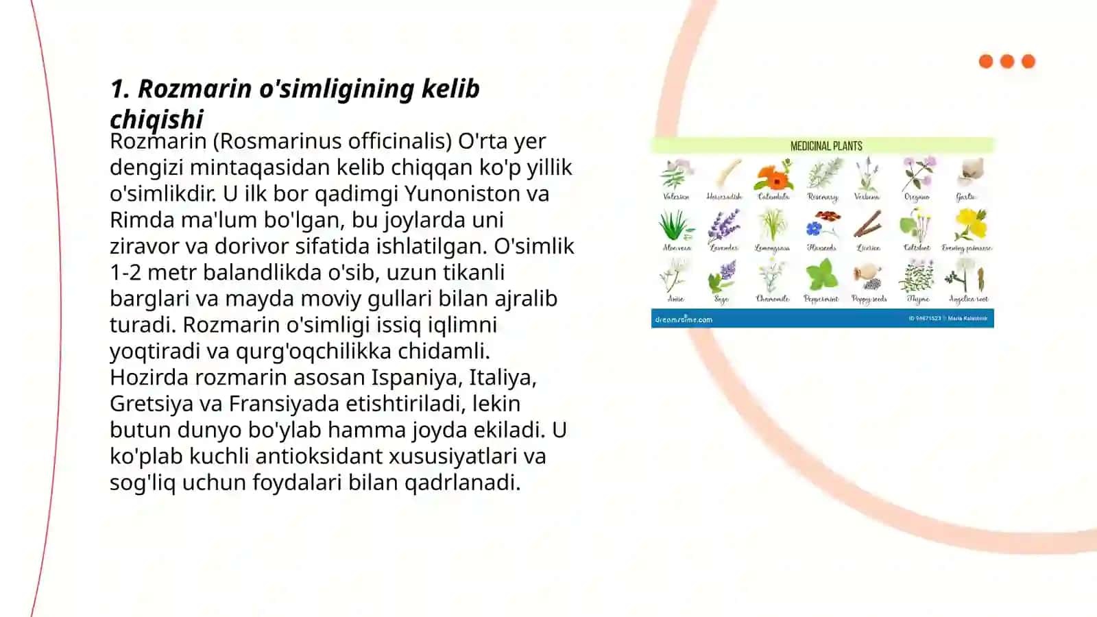 Rozmarinni bioekologik va dorivorlik xususiyatlari 3