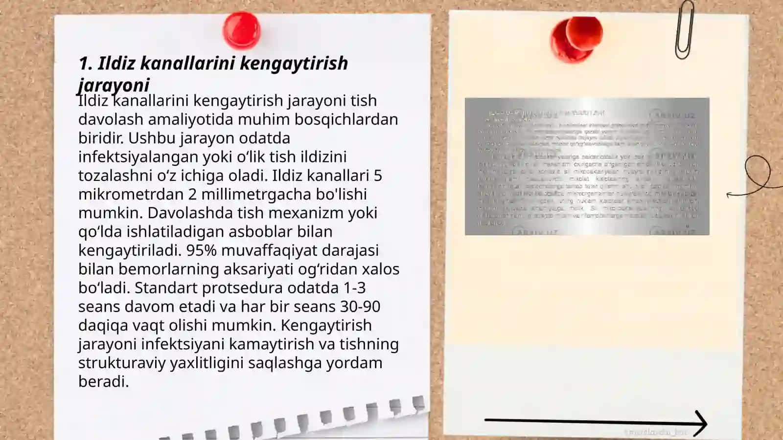 Ildiz kanallarini kimyoviy kengaytirishda qoʻllaniladigan vositalar 3