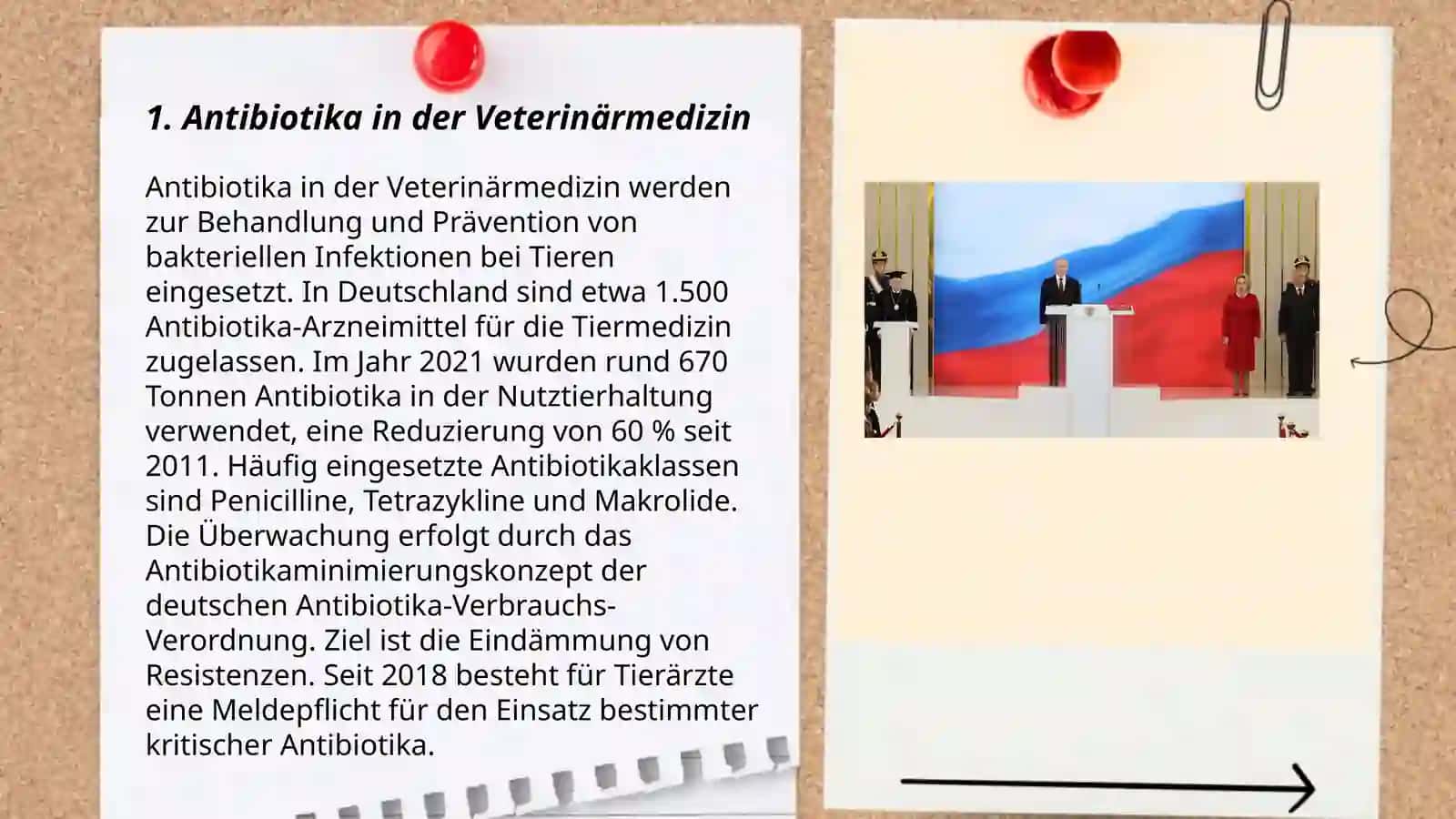 Veterinärarzneienarten 3