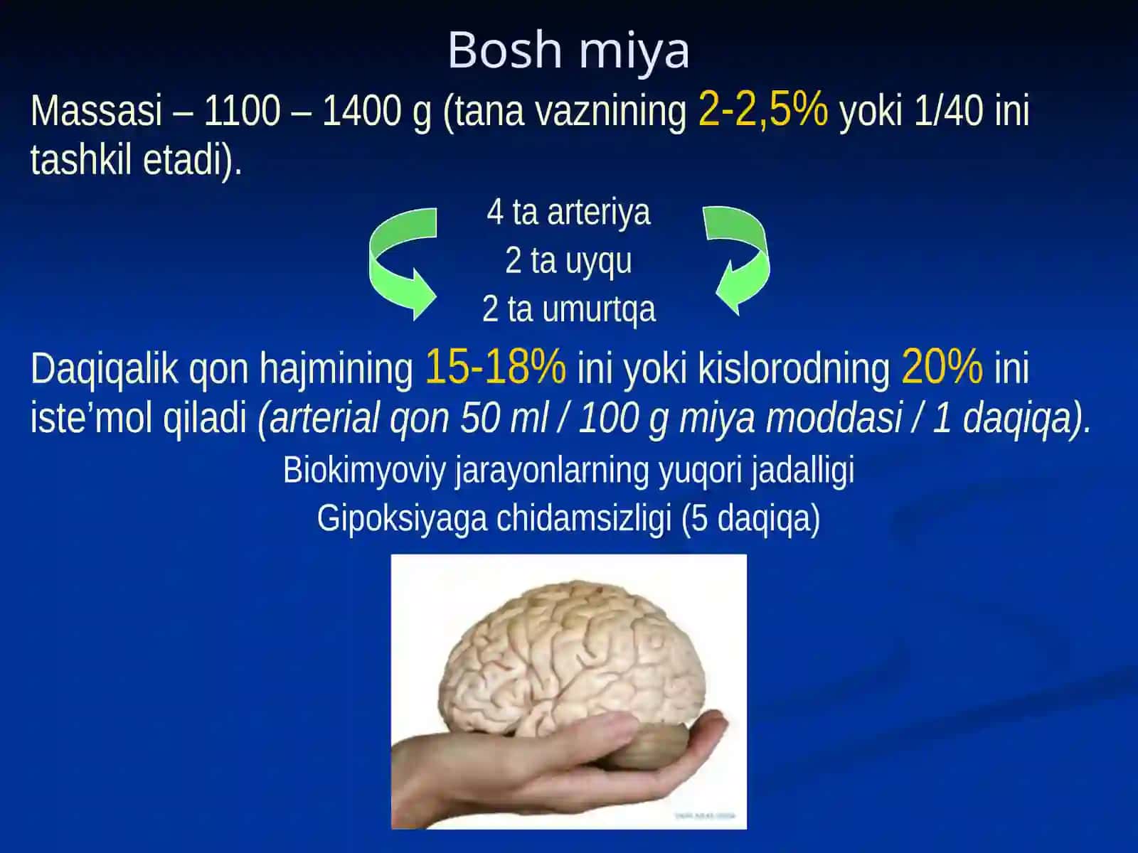 Bosh sohasi miya qismining klinik anatomiyasi 3