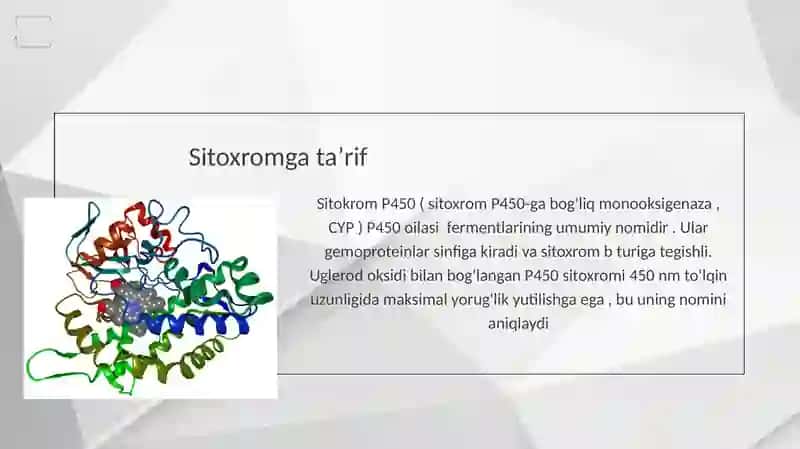 Sitoxrom P450 Ning katalit sikli 3